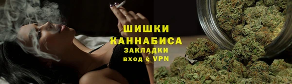 спиды Горняк