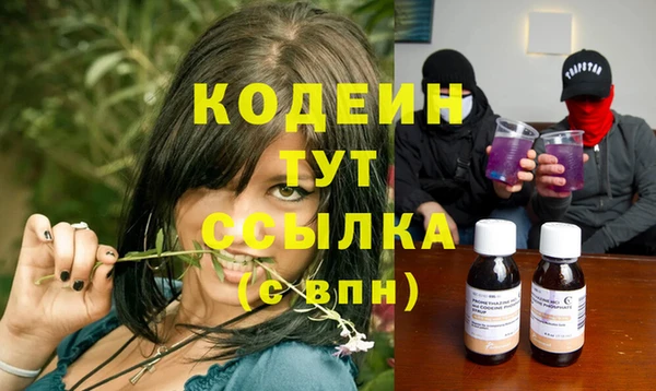спиды Горняк