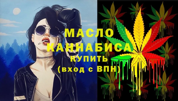 спиды Горняк